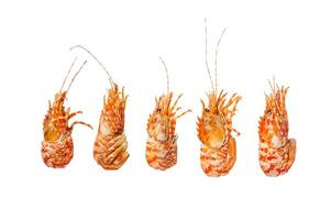 Raw Greenland Prawn Shrimp Isolated on white background, top view. photo