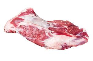 Raw lamb mutton shoulder meat on the bone Isolated on white background, top view. photo