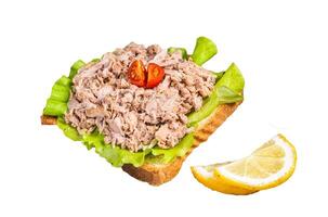 Toast with Canned Tuna fish fillet and salad. Isolated, white background. photo