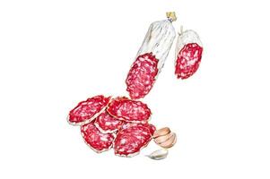 Italian sliced salami on a plate with rosemary and thyme. Isolated on white background, top view. photo