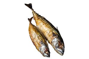 Grilled mackerel fish with lemon, herbs and spices in a skillet. Isolated, white background. photo