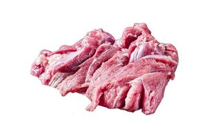 Raw Turkey sliced fillet meat ready for cooking. Isolated, white background. photo