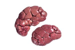 Raw Beef kidney on butcher table. Isolated on white background photo