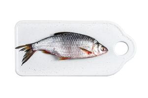 Raw crucian carp on a white chopping Board. Isolated on white background. Top view. photo