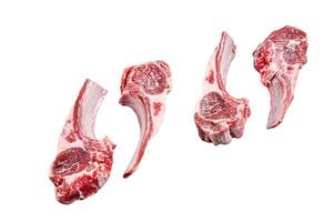 Raw lamb meat chops on a butcher table. Isolated on white background. photo