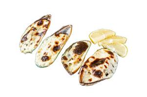 Baked mussels with cheese and lemon in shells. Isolated, white background. photo