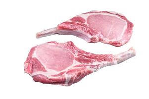 Raw dry aged tomahawk pork chop steak. Isolated on white background. photo