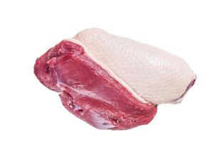 Raw uncooked Duck breast fillet steaks on butcher table. Isolated on white background photo