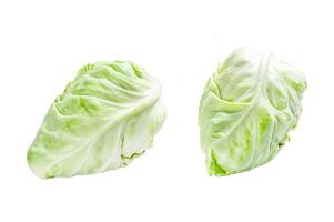 Raw Pointed white cabbage head. Isolated on white background. Top view. photo