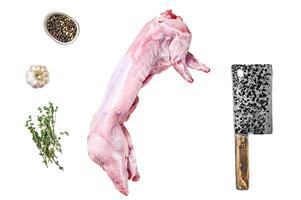 Raw hare meat Isolated on white background. Top view. photo