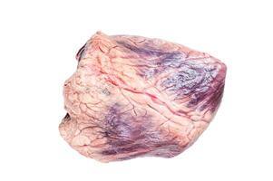 Beef or veal raw heart on a butcher table. Isolated, white background. photo