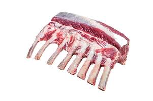 Raw fresh rack of lamb meat. Isolated on white background. photo