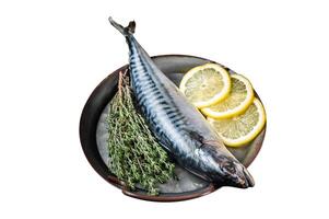 Uncooked mackerel fish, raw scomber with herbs. Isolated on white background. Top view. photo