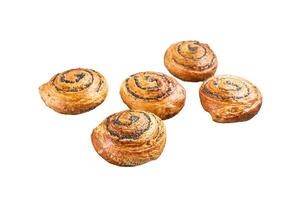 Homemade baked Bun with poppy seeds. Isolated, white background. photo