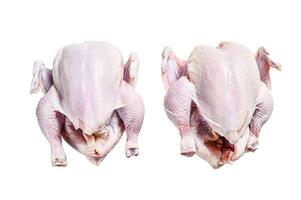 Organic farm raw whole chicken. Isolated on white background. photo