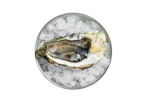 Appetizing raw oyster with ice cubes in a skillet . Isolated on white background. photo