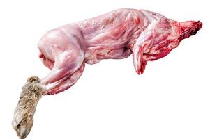 Whole game hare, raw meat on wooden old rustic table. Isolated on white background. photo