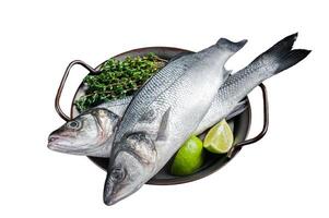 Fresh Raw Sea Bass, Labrax fish with herbs and lime. Isolated on white background. Top view. photo