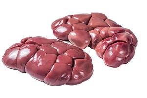 Raw Beef kidney on butcher table. Isolated on white background photo