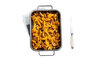Raw uncooked wild Chanterelles mushrooms in a tray. Isolated on white background, top view. photo