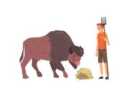 Zoo Worker Feeding Buffalo, Professional Zookeeper Character Caring of Animal Illustration vector