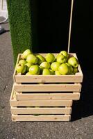 A wooden crate filled with green apples is stacked on top photo