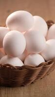 close up of eggs in a bowl. video