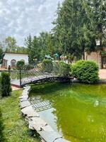 In this lovely park, there exists a quaint, charming, small bridge that gracefully spans over a calm and tranquil pond, allowing all who visit a perfect place to relax and enjoy nature photo