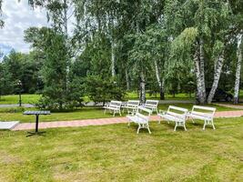 In a serene park setting, there is a neatly arranged row of white benches, providing a perfect spot for relaxation, while tall trees create a calming backdrop for visitors to enjoy photo