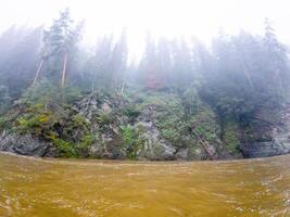A picturesque river flows gracefully, enveloped by tall trees and rugged rocks, all under the embrace of a mysterious foggy day that adds enchantment to the beautiful scenery photo