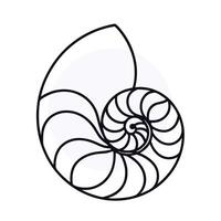 Nautilus shell icon line art illustration vector