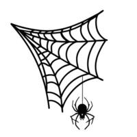 Spider web with spider on it vector