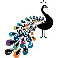 A peacock with colorful feathers on a white background vector