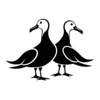 Two black and white birds standing next to each other vector