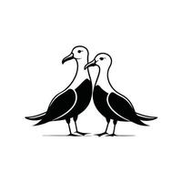 Two black and white birds standing next to each other vector