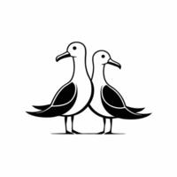 Two seagulls standing on a white background vector