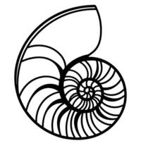 An illustration of a shell with a spiral pattern vector