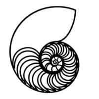 An illustration of a spiral shell vector