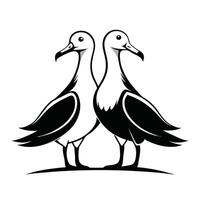 Two seagulls standing on top of each other, black and white vector