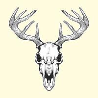 Vintage deer head skeleton design vector
