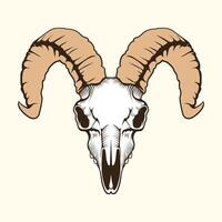 Goad head skeleton front view design vector