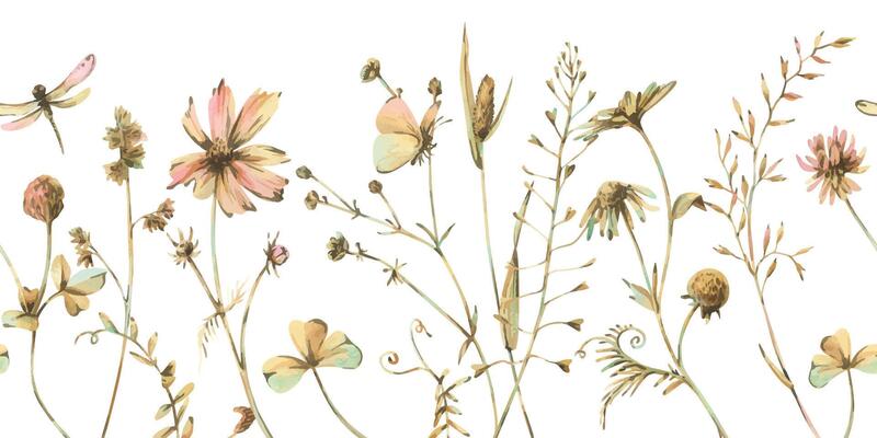 Field, meadow, wild flowers and herbs cosmos, chamomile, clover and insects. Watercolor illustration hand drawn in beige, brown and ocher colors. Seamless border isolated from the background