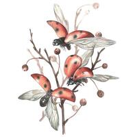 Ladybugs in flight from different angles against the background of autumn apple branches. Watercolor illustration. For the design and decoration of postcards, posters, stickers, paintings, souvenirs vector