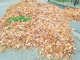 Huge heap of dry leaves and brunches laying on ground near residence building. photo