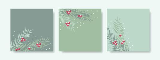 Set of winter Christmas backgrounds with fir branches and berries. vector