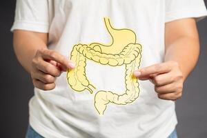 Hand holding a large intestine shape made from yellow paper while standing over a gray background photo