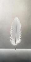 Elegant White Feather Floating Gracefully Against a Soft Gradient Background in Minimalist Style photo