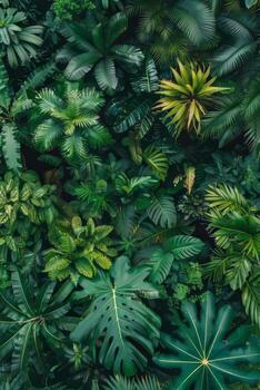 Bird eye image of vibrant jungle trees. photo