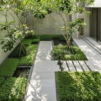 Modern Minimalist Courtyard Garden with Lush Greenery and Stone Pathways photo