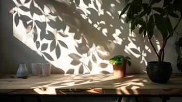 Sunlit Indoor Plants Casting Leafy Shadows on Wooden Table in Minimalist Home Interior photo